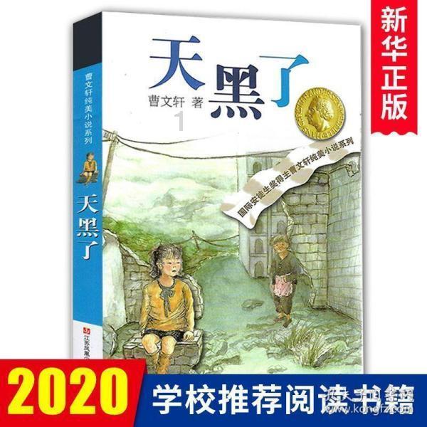 海岛冲浪