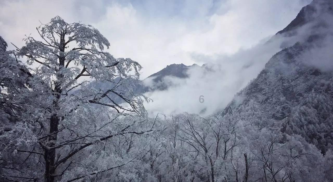 探索知识星球-看到家乡的蓬勃发展使参观者不仅感慨万分改病句？平台，开启智慧之旅