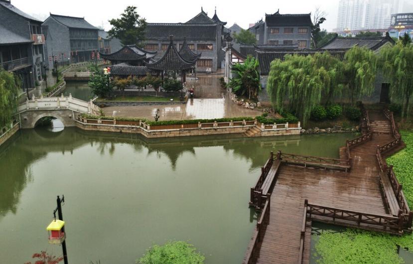 小鸡要回家